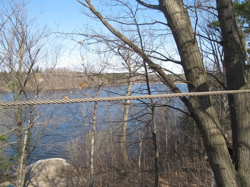 Treetop Trekking image