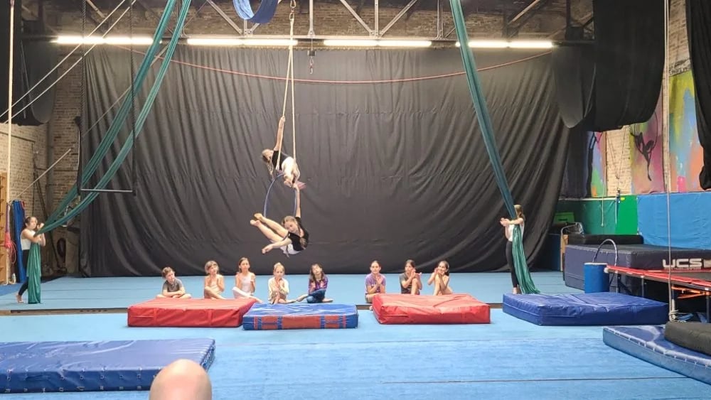MSA & Circus Arts image