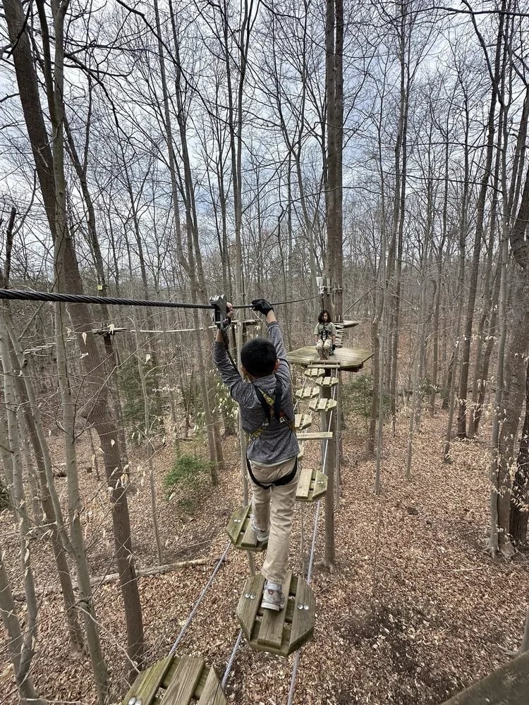 Go Ape Zipline & Adventure Park image
