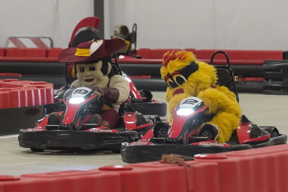 BOSS PRO-Karting image