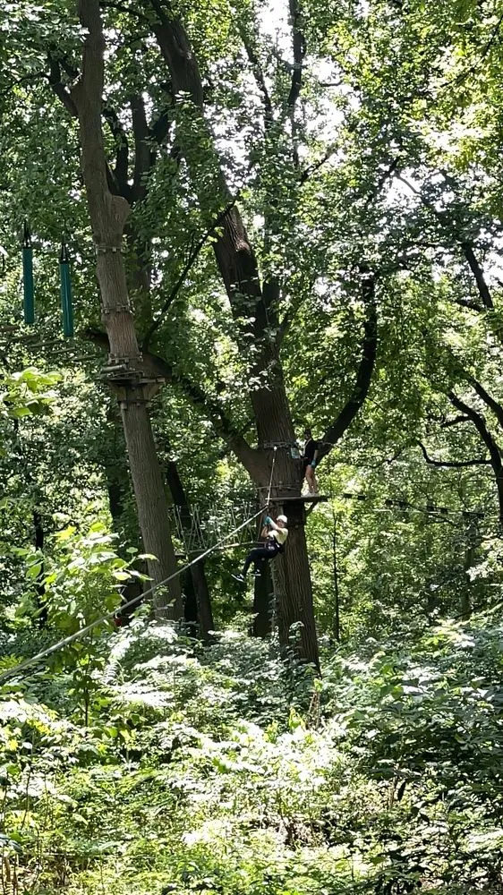 Treetop Quest Philly image