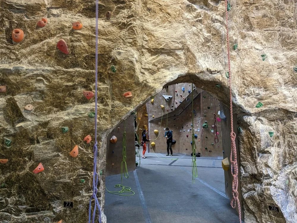 Mesa Rim Climbing Center - Mira Mesa image