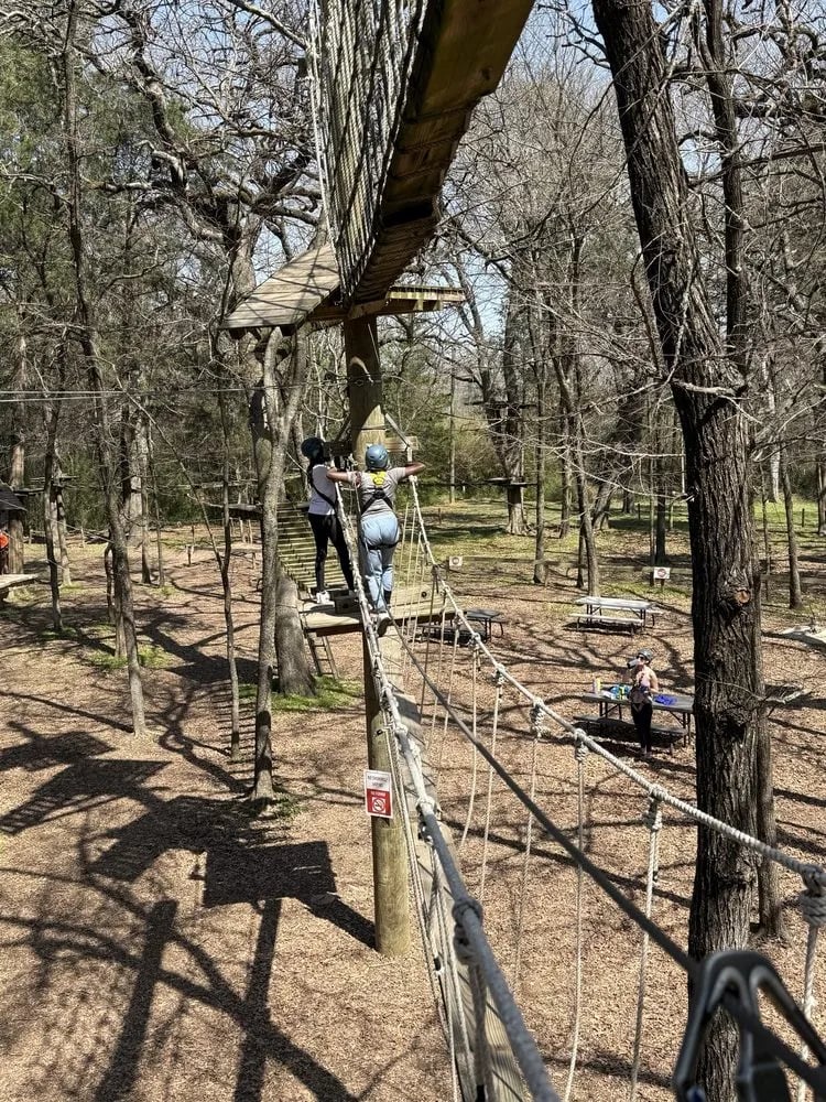 Trinity Forest Adventure Park image