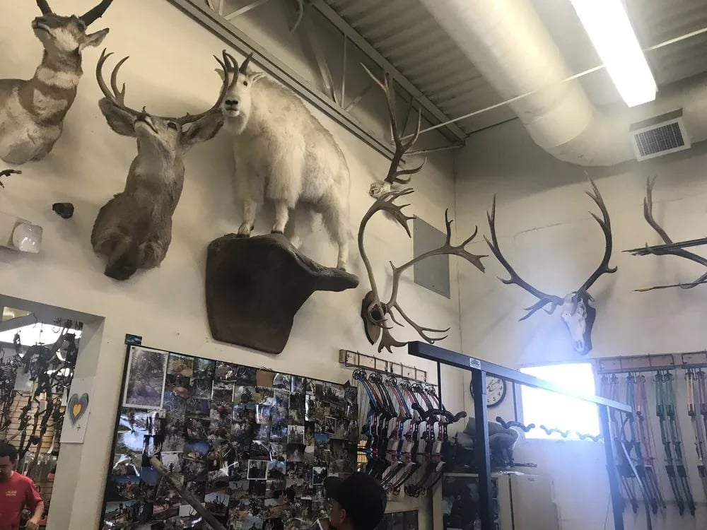 Archery Shoppe image