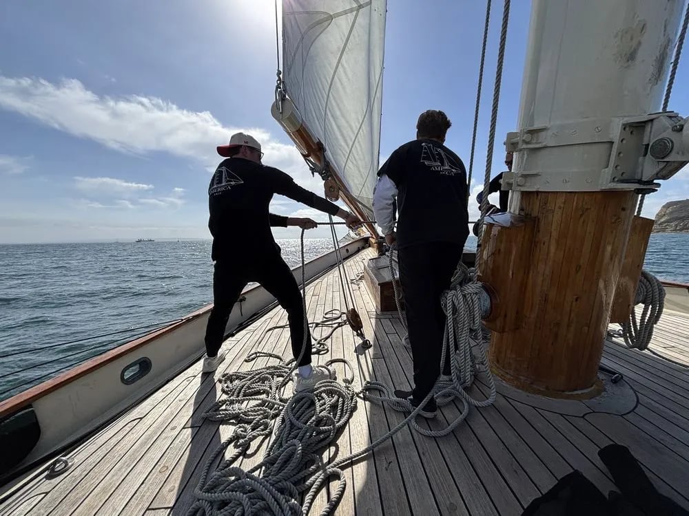 Next Level Sailing image