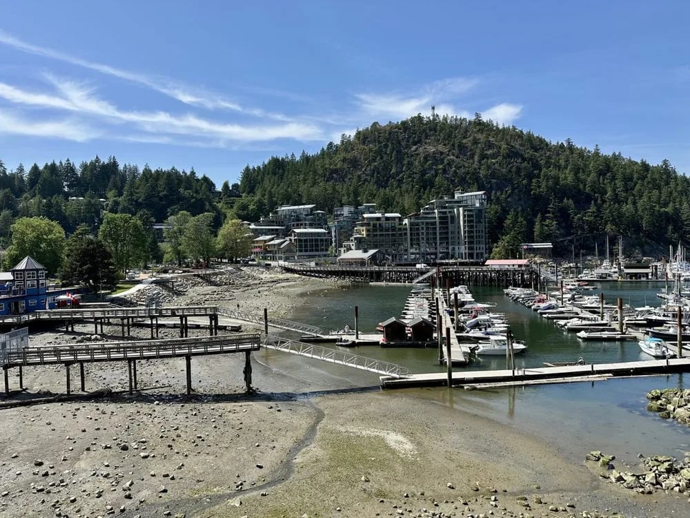 Sewell's Marina image