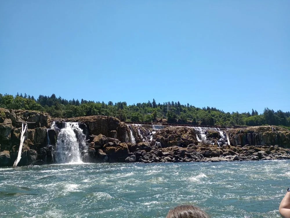 Willamette Jetboat Excursions image