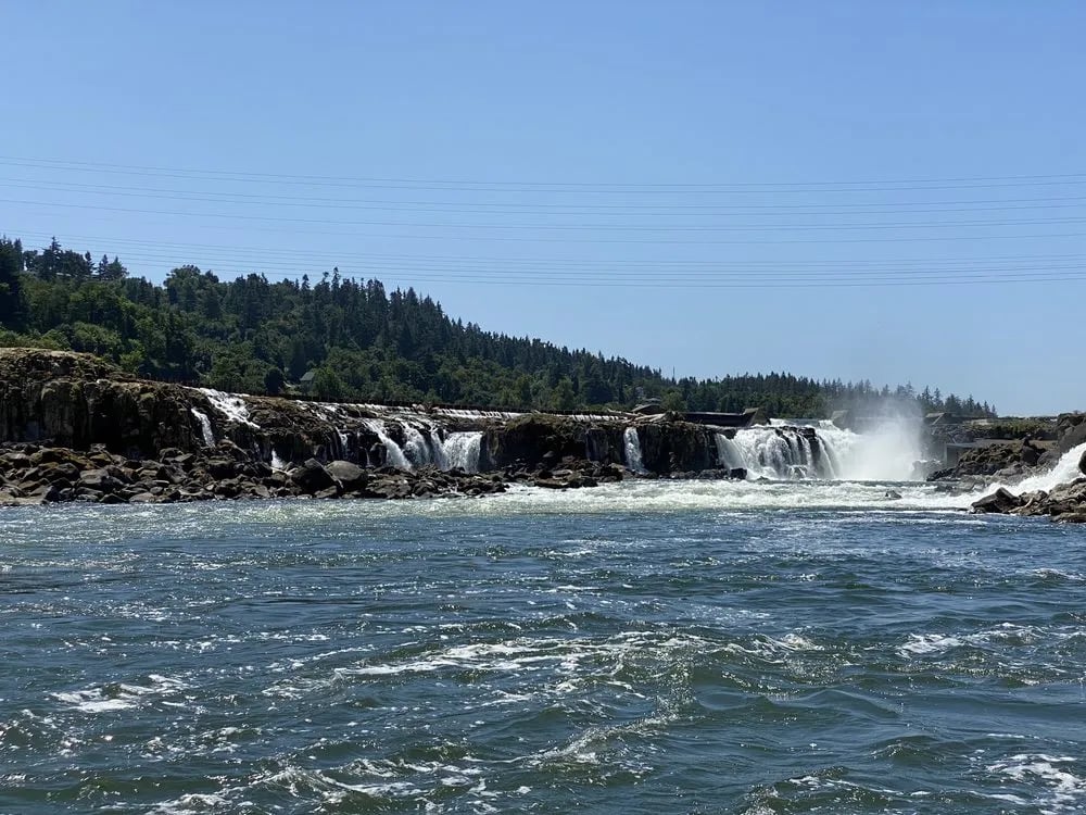 Willamette Jetboat Excursions image
