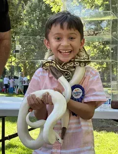 For Goodness Snakes