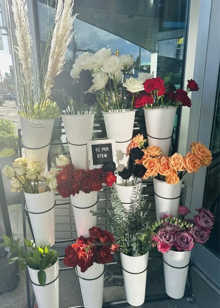 Urban Sprouts image