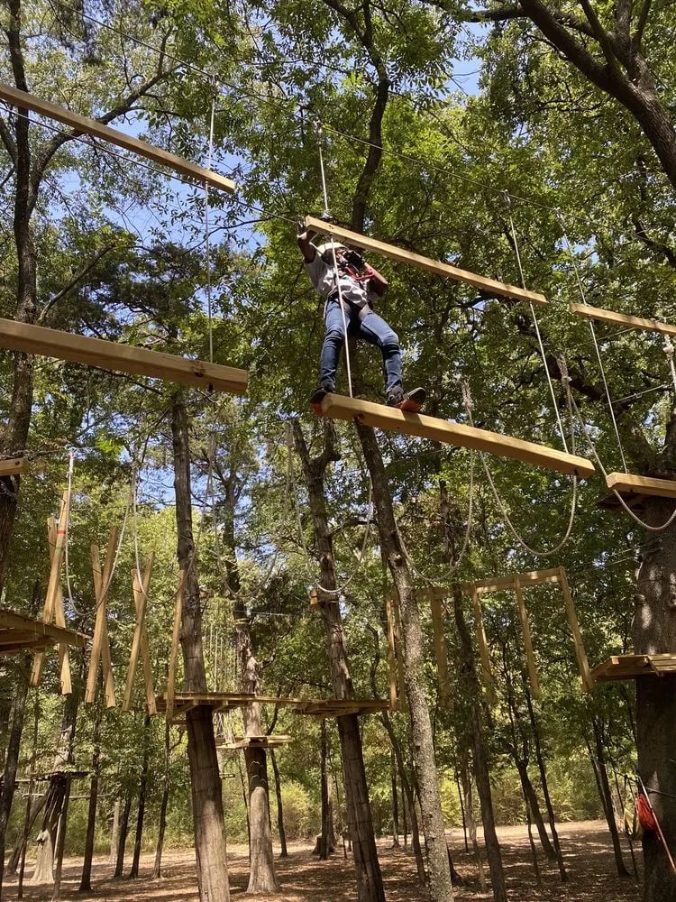Trinity Forest Adventure Park image