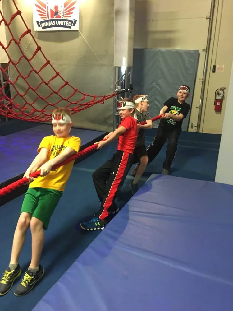 Ninjas United image