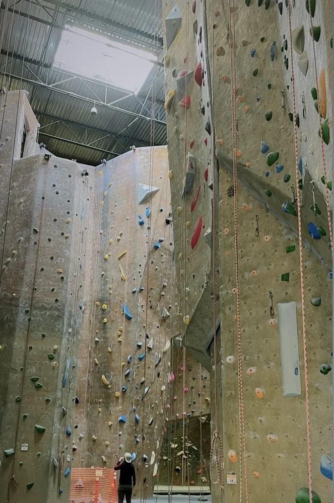 Mesa Rim Climbing Center - Mira Mesa image