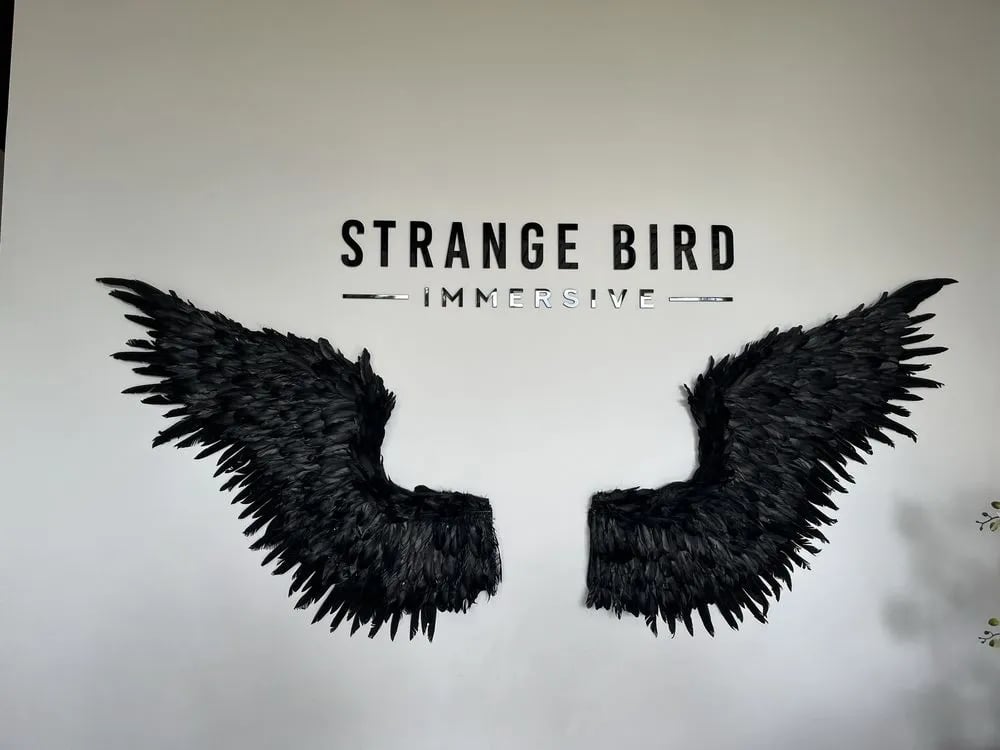 Strange Bird Immersive image