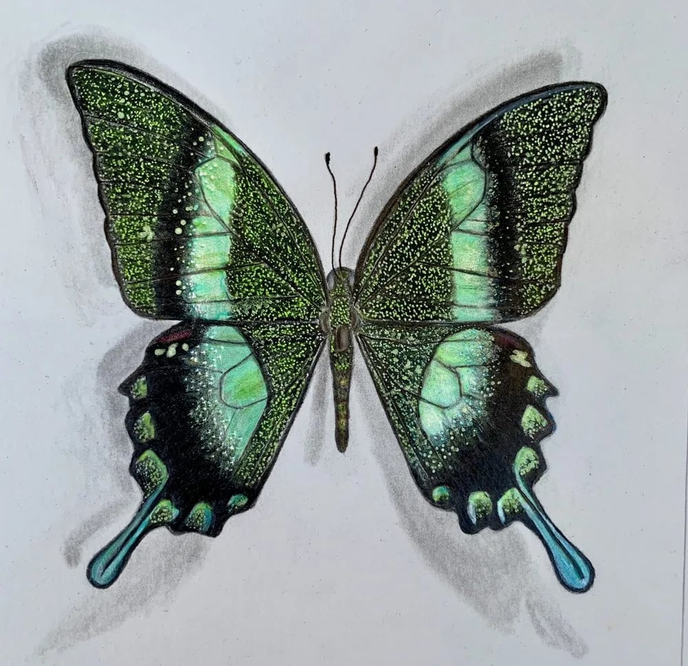 Jennifer Linderman Art image
