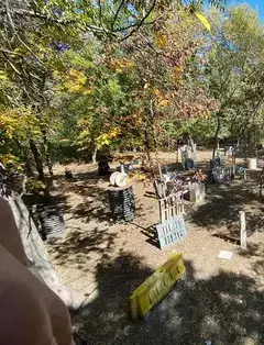 Project Paintball