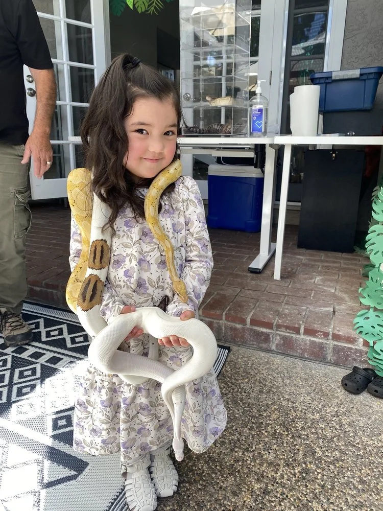 For Goodness Snakes image