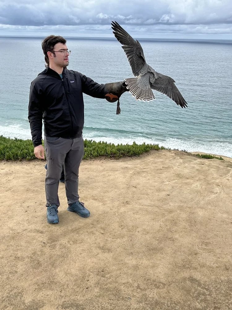 Total Raptor eXperience image