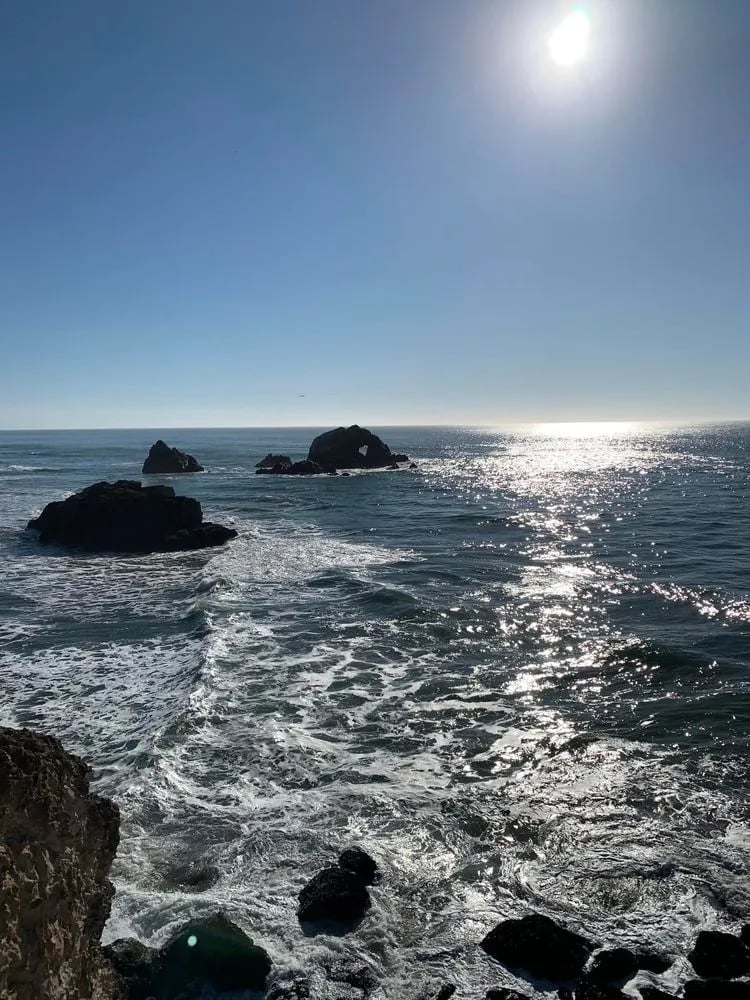 San Francisco City Guides image