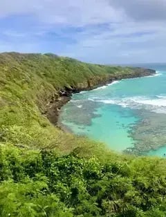 Hawaii State Tours