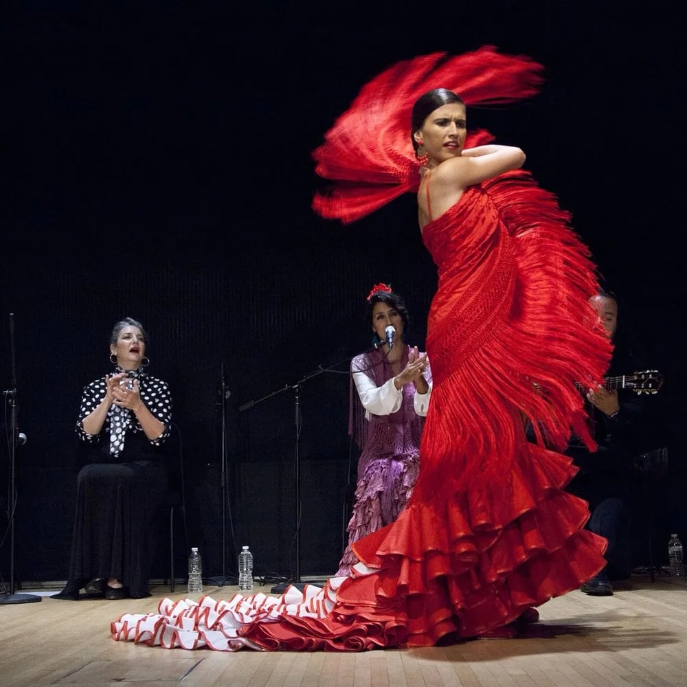 LS Flamenco image