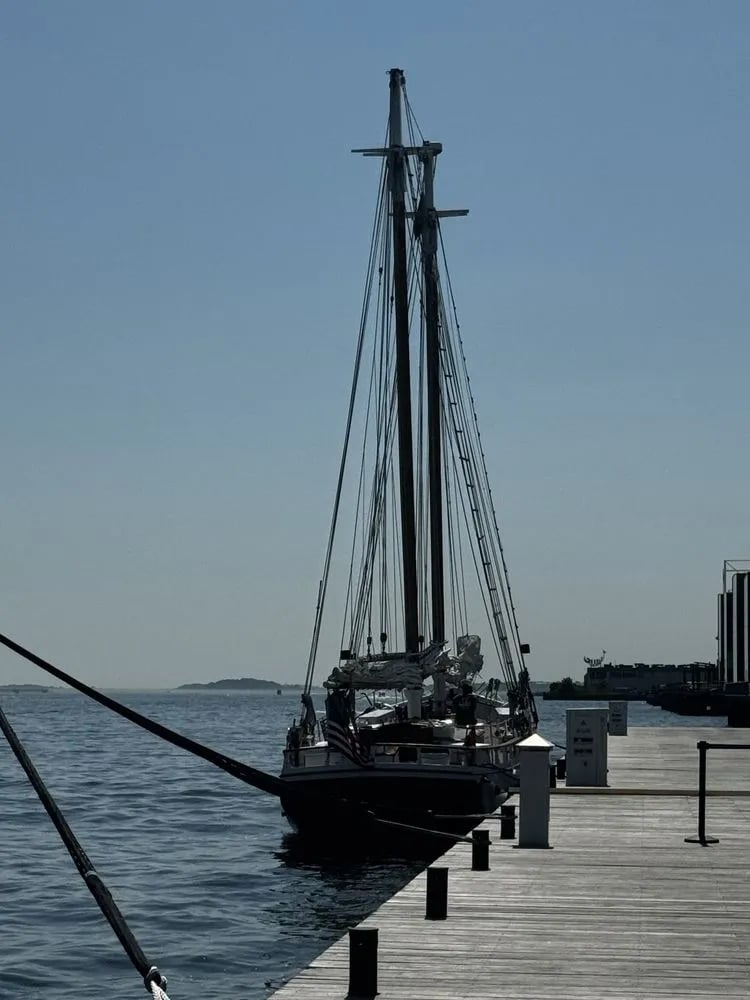 Liberty Fleet of Tall Ships image