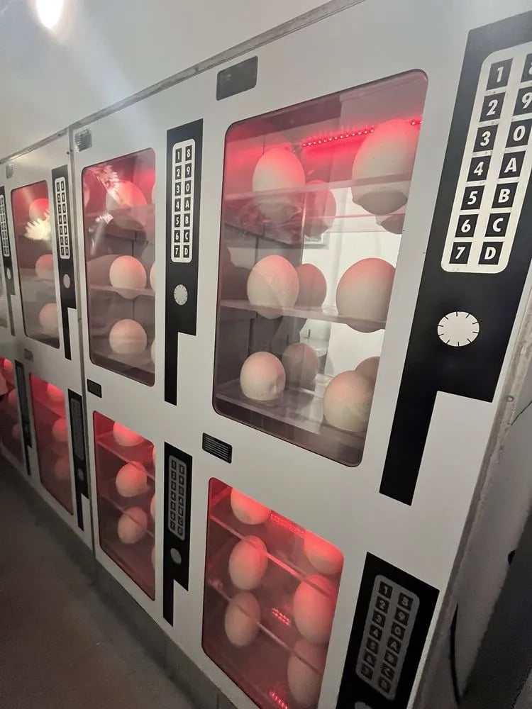 Escape the Room image