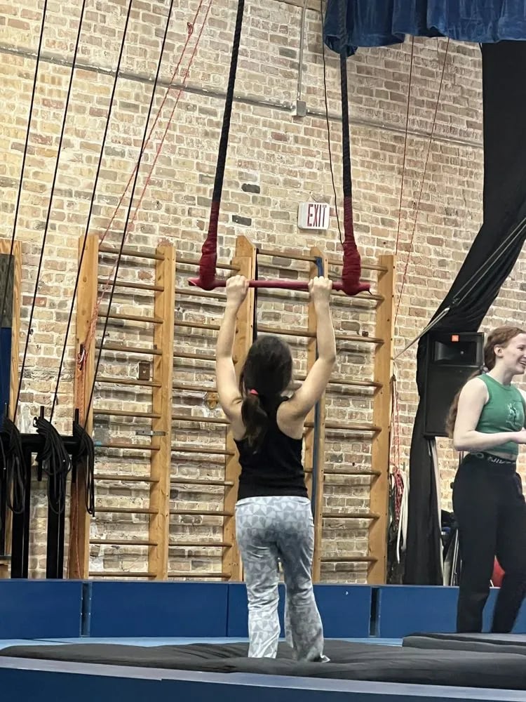 MSA & Circus Arts image