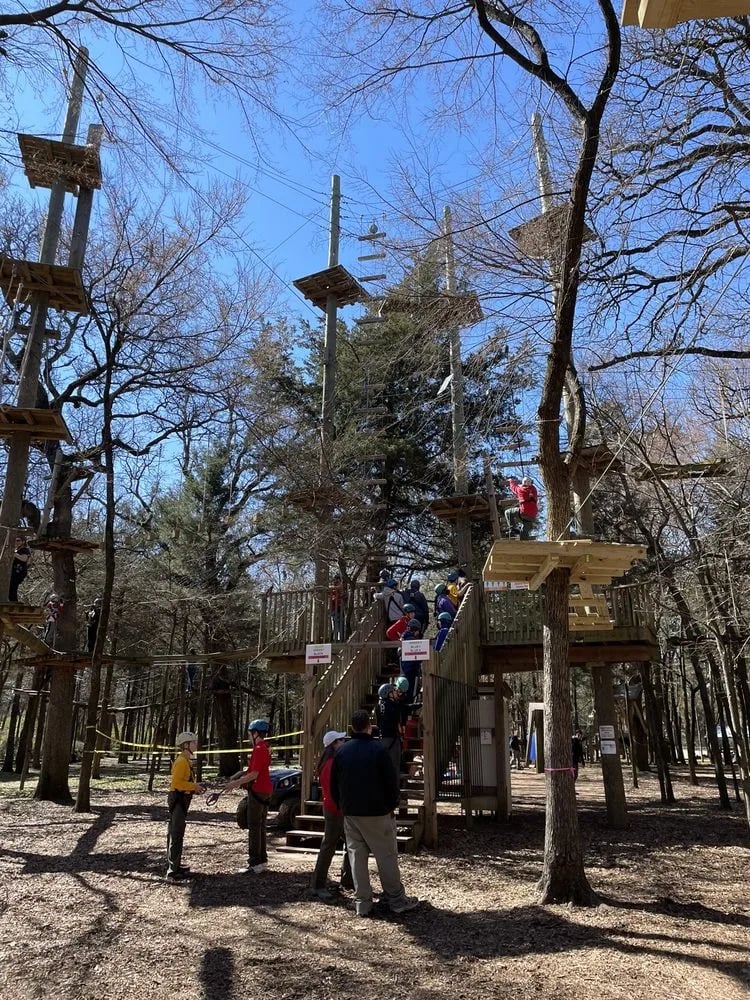 Trinity Forest Adventure Park image