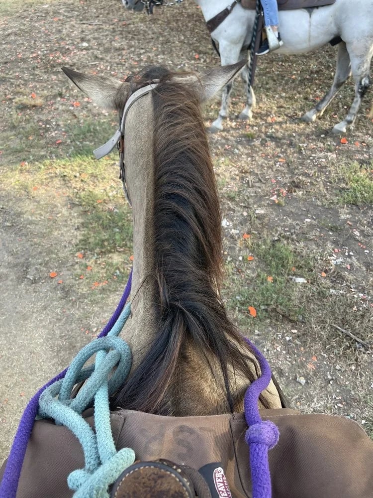 Lone Star Ranch & Rodeo image