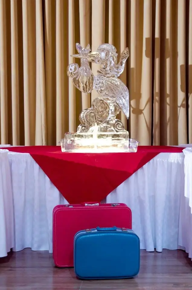 Ice Illusions image