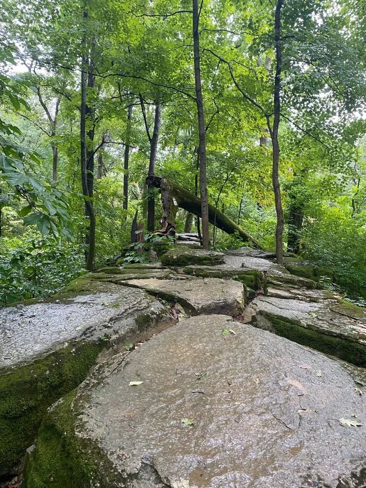 Adventureworks Zipline Forest at Fontanel image