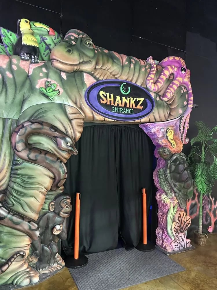 Shankz image