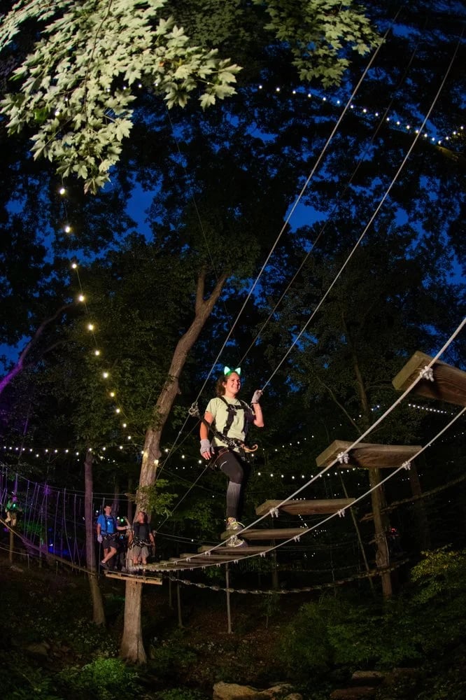 The Adventure Park at Nashville image
