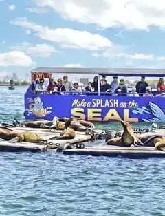 San Diego Seal Tour