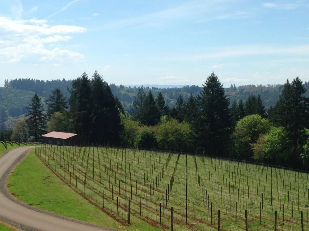 Oregon Wine Guides image