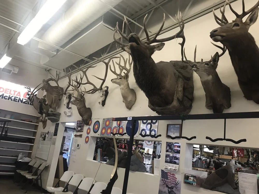 Archery Shoppe image