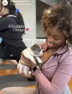 The Puppy Sphere