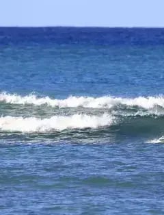 Ohana Surf Project