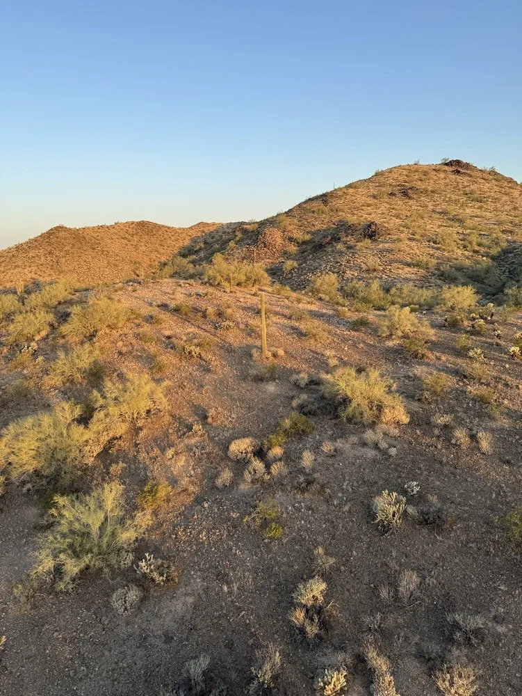 Scottsdale Hot Air Balloon Rides- Aerogelic Ballooning image