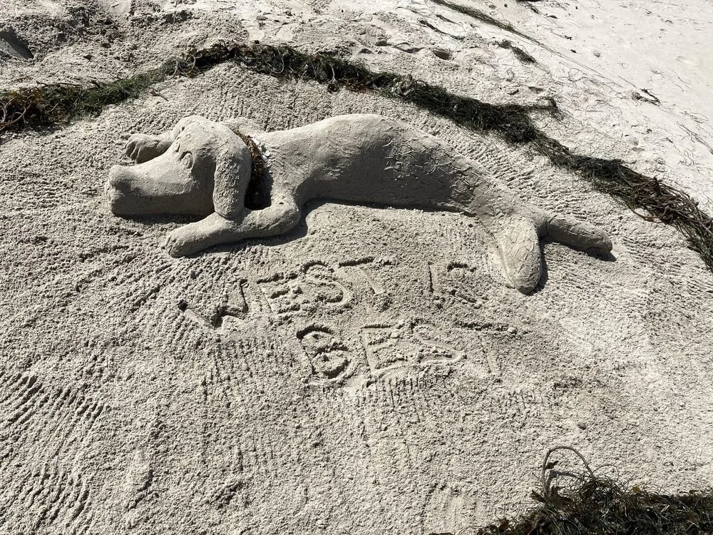 San Diego Sand Castles image