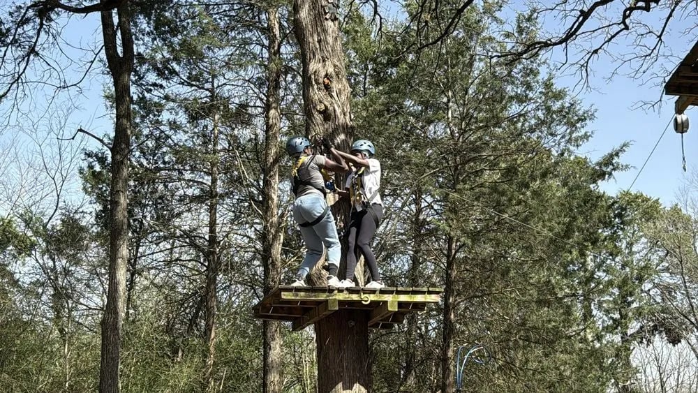 Trinity Forest Adventure Park image