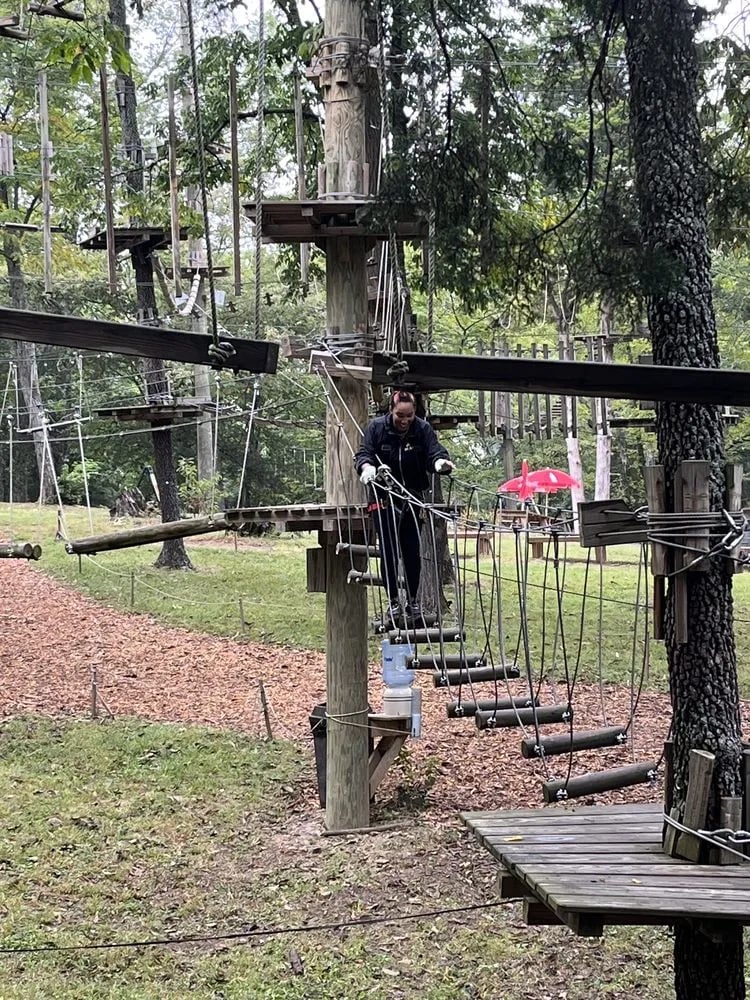 The Adventure Park at Nashville image