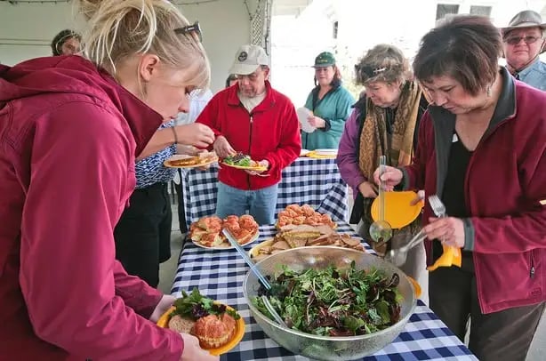 Bay Area Green Tours image