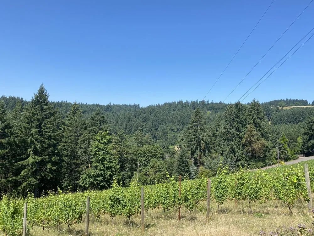Oregon Wine Guides image