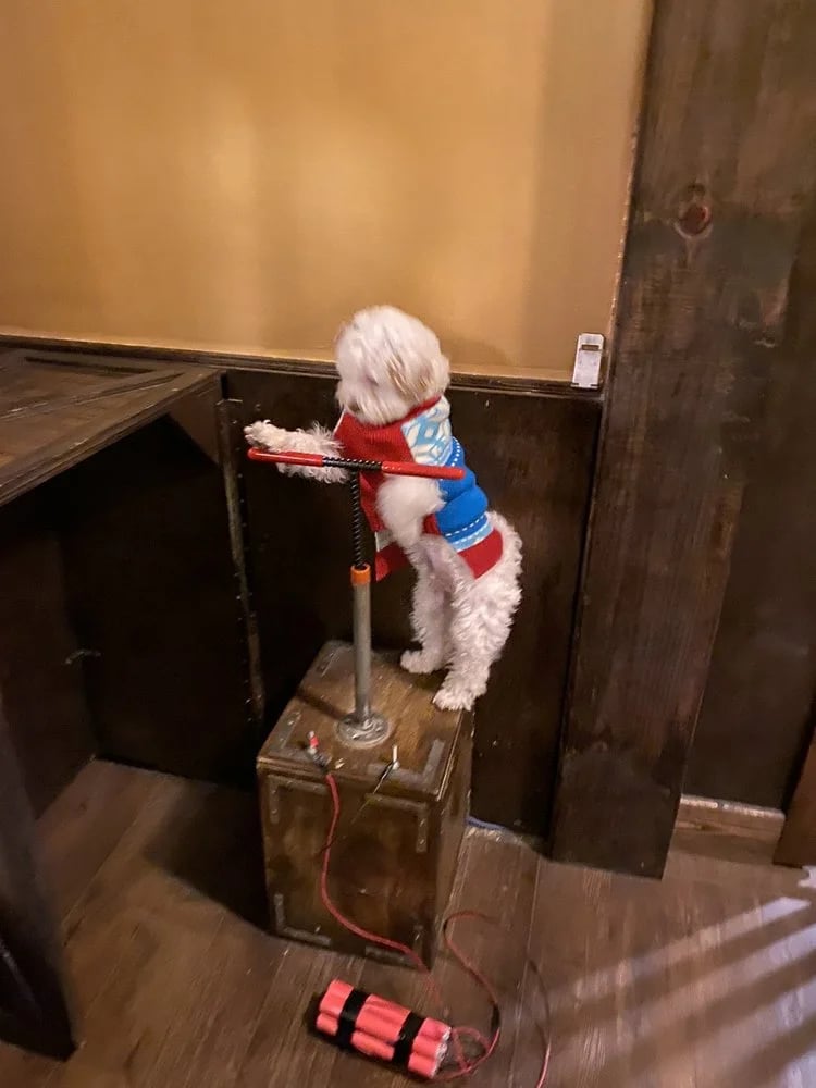Escape the Room image