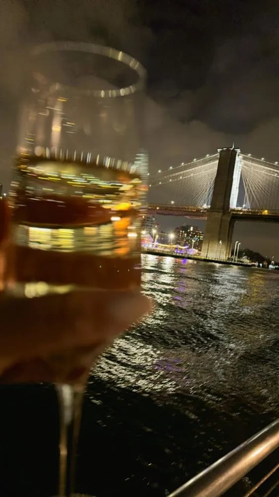 Bateaux New York image