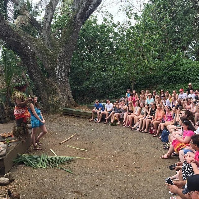 Hawaii State Tours image