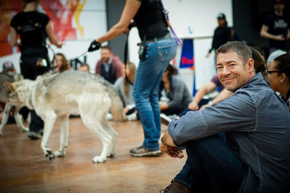 Wolf Tribe image