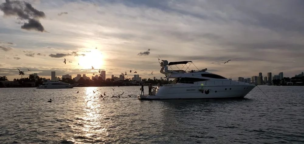 Miami Tours & Water Adventures image